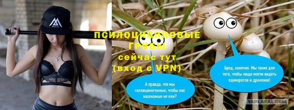 бошки Балахна