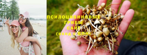 не бодяженный Нея