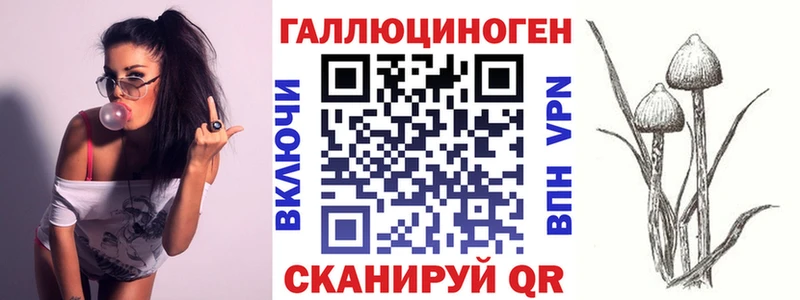 Галлюциногенные грибы Psilocybine cubensis  Купить где  Смоленск 